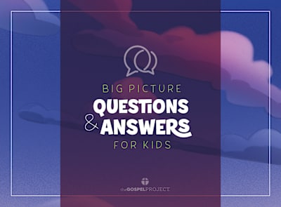 Big Picture Questions and Answers PKG 10 | Lifeway
