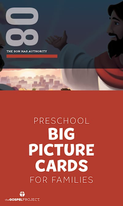The Gospel Project for Preschool: Preschool Big Picture Cards - Volume ...