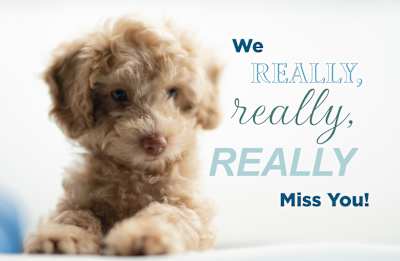 Miss You Postcard: We Really Miss You (Package of 25) | Lifeway